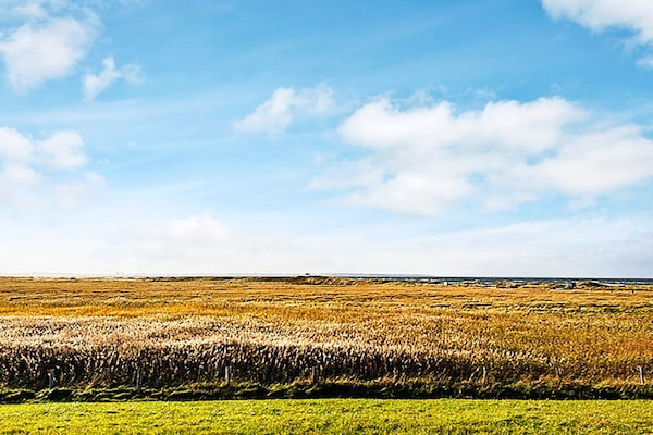 Foto van Hoogwaardig appartement met uitzicht op zee - Vakantiehuis in Wendtorf - Untagged