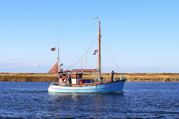 Foto van Hoogwaardige aan de Oostzee direct aan het water - Vakantiehuis in Wendtorf - Untagged
