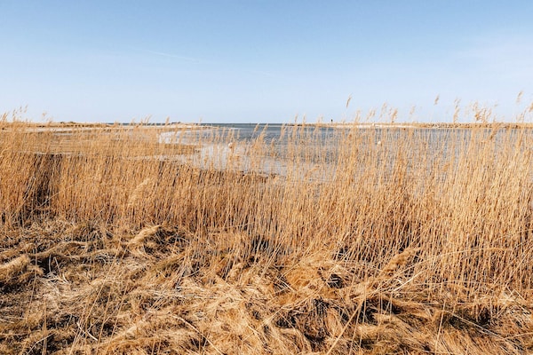 Foto van Vakantieappartement met uitzicht op het meer - Vakantiehuis in Wendtorf - Untagged