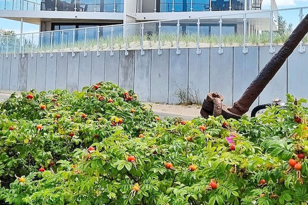 Foto van Exclusief Oostzee-appartement aan de haven - Vakantiehuis in Wendtorf - Outdoor