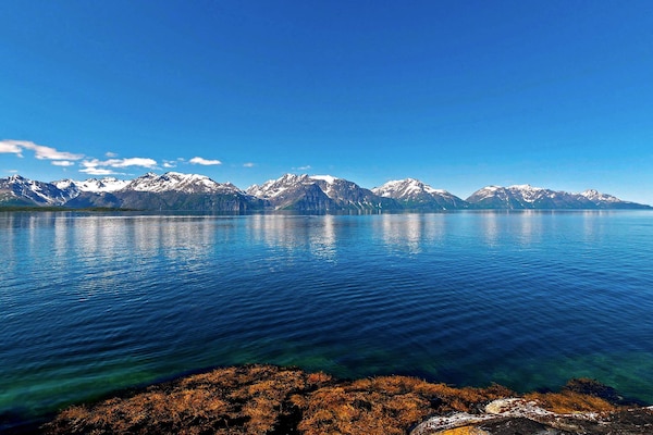 Foto van 6 persoons vakantie huis in Olderdalen - Vakantiehuis in Olderdalen - Outdoor