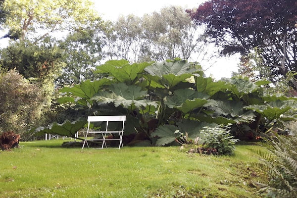 Foto van 6 persoons vakantie huis in Thyholm - Vakantiehuis in Thyholm - Untagged