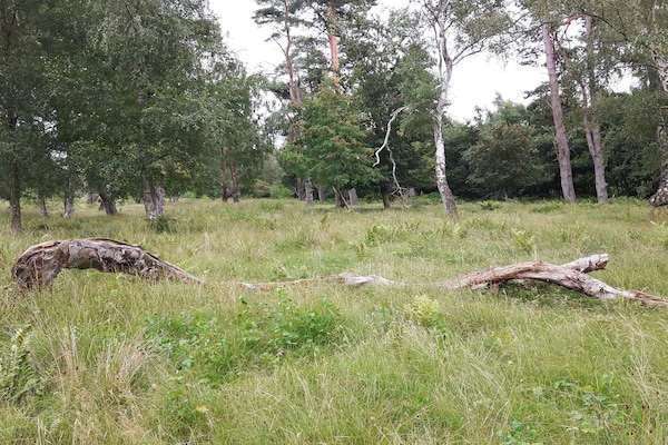 Foto van 6 persoons vakantie huis in Væggerløse - Vakantiehuis in Væggerløse - Untagged