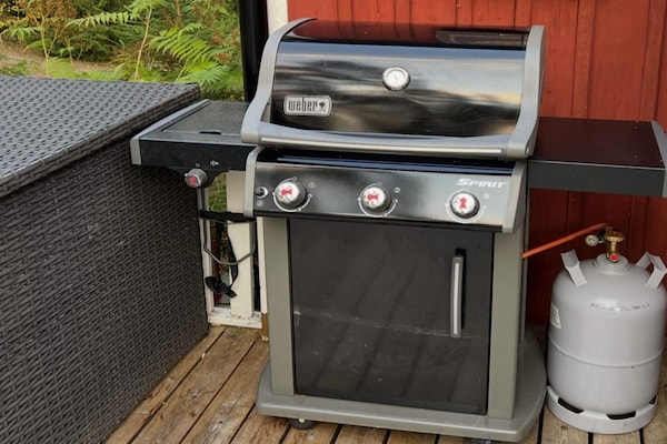 Foto van 7 persoons vakantie huis in HALLABRO - Vakantiehuis in HALLABRO - Outdoor