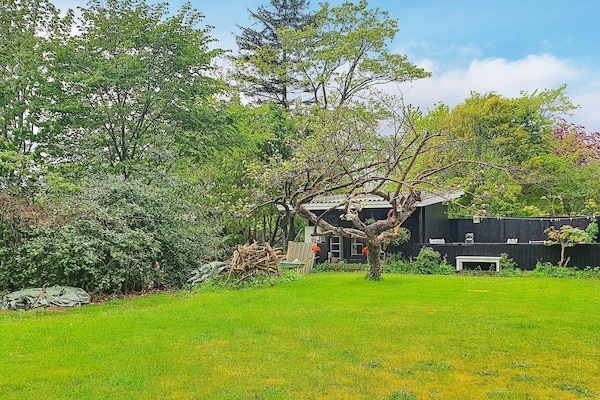 Foto van 6 persoons vakantiehuis - Vakantiehuis in Tisvildeleje - Outdoor