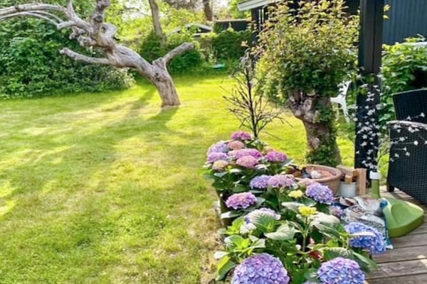 Foto van 6 persoons vakantiehuis - Vakantiehuis in Tisvildeleje - Outdoor