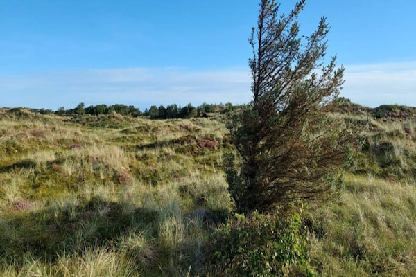 Foto van 6 persoons vakantie huis in Blokhus - Vakantiehuis in Blokhus - Outdoor