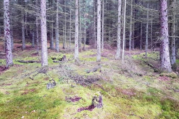 Foto van 6 persoons vakantie huis in Blokhus - Vakantiehuis in Blokhus - Outdoor
