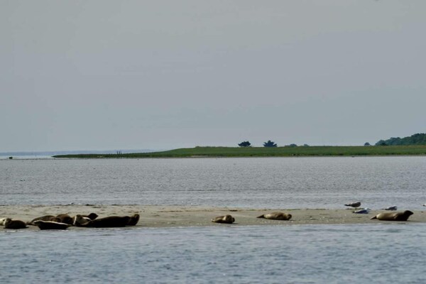 Foto van 6 persoons vakantie huis in Hadsund - Vakantiehuis in Hadsund - WaterView