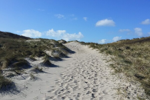 Foto van 10 persoons vakantie huis in Ringkøbing - Vakantiehuis in Ringkøbing - View