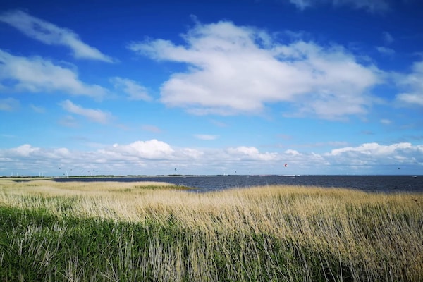 Foto van 6 persoons vakantie huis in Ringkøbing-By Traum - Vakantiehuis in Ringkøbing - WaterView