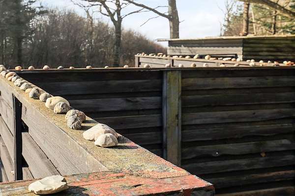 Foto van Kustcharme in albaek -- By Traum Ferienwohnungen - Vakantiehuis in Spøttrup - Outdoor