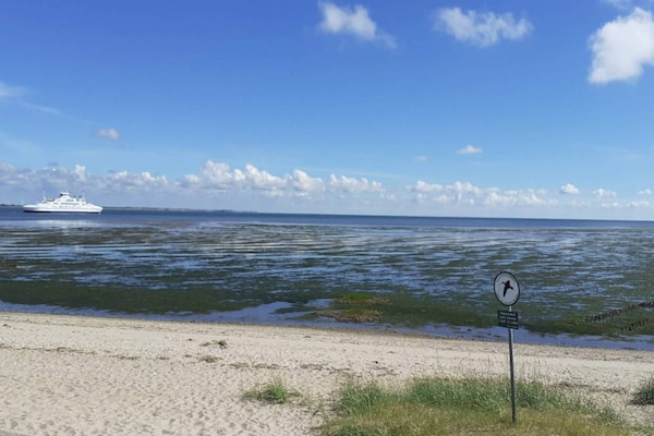 Foto van 6 persoons vakantie huis in Rømø-By Traum - Vakantiehuis in Rømø - Untagged