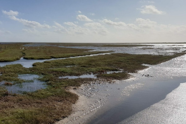 Foto van Ruim vakantiehuis met uitzicht - Vakantiehuis in Blåvand - WaterView