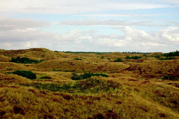 Foto van Ruim vakantiehuis met uitzicht - Vakantiehuis in Blåvand - View