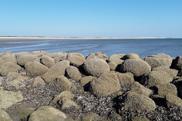 Foto van Ruim vakantiehuis met uitzicht - Vakantiehuis in Blåvand - WaterView