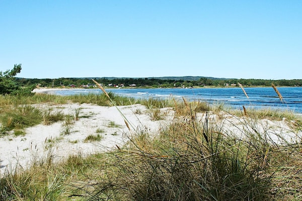 Foto van Toevluchtsoord aan het strand met dennenbomen - Vakantiehuis in Nexø - View