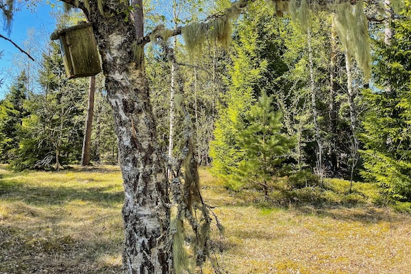Foto van 6 persoons vakantie huis in HÅCKSVIK-By Traum - Vakantiehuis in HÅCKSVIK - Untagged