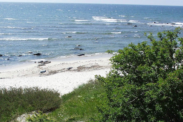 Foto van Vakantiehuis met sauna aan het strand - Vakantiehuis in Aakirkeby - View