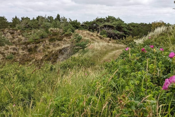 Foto van 6 persoons vakantie huis in Rømø-By Traum - Vakantiehuis in Rømø - Untagged