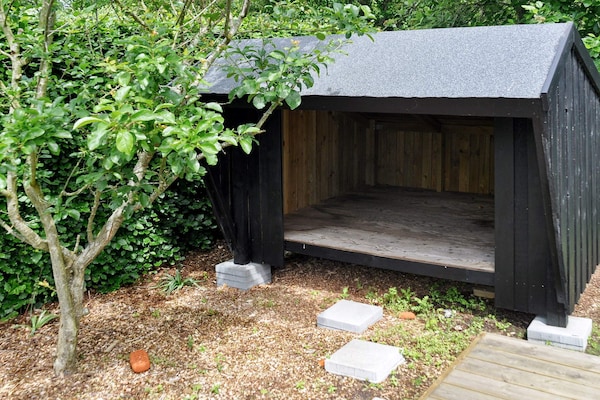 Foto van 6 persoons vakantie huis in Struer-By Traum - Vakantiehuis in Struer - Outdoor