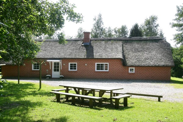 Foto van 12 persoons vakantie huis in Væggerløse-By Traum - Outdoor