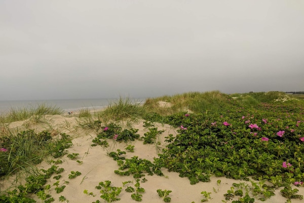 Foto van Milieuvriendelijk toevluchtsoord met spa - Vakantiehuis in Blåvand - Untagged