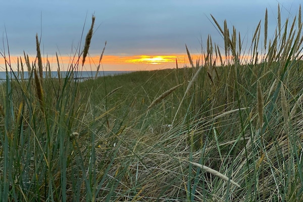 Foto van Milieuvriendelijk toevluchtsoord met spa - Vakantiehuis in Blåvand - Untagged