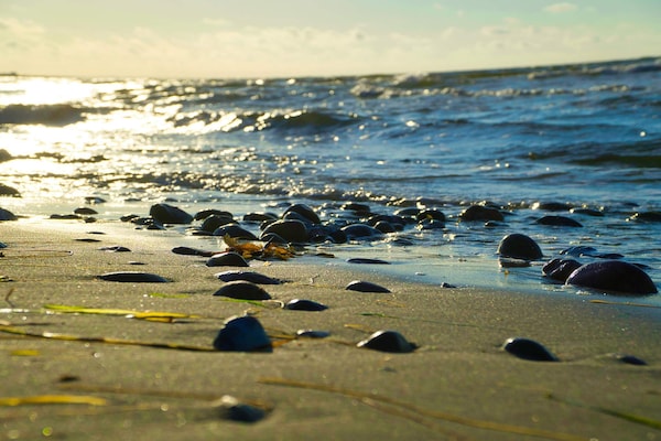 Foto van Luxe verblijf in Mommark - Vakantiehuis in Sydals - WaterView
