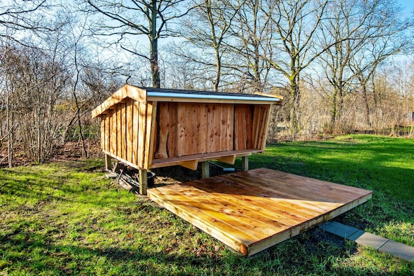 Foto van 6 persoons vakantie huis in Ansager-By Traum - Vakantiehuis in Ansager - View