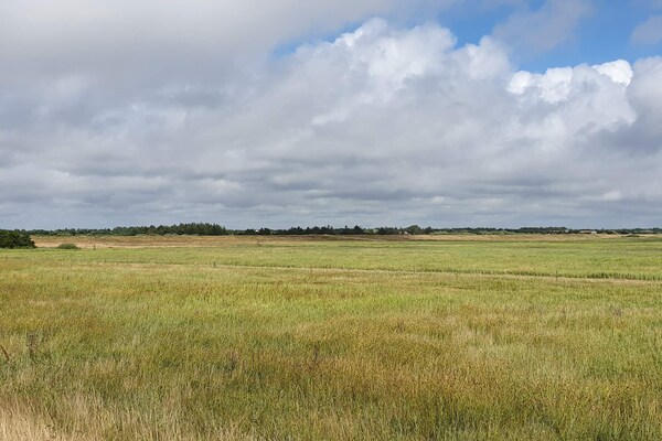Foto van Afgelegen toevluchtsoord in de natuur - Vakantiehuis in Blåvand - Untagged
