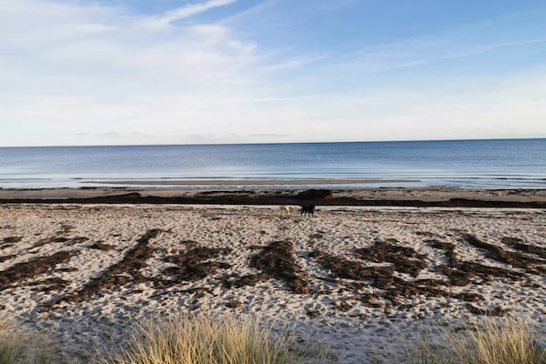 Foto van 12 persoons vakantie huis in Væggerløse-By Traum - WaterView