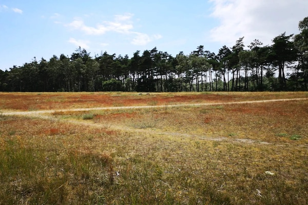 Foto van 12 persoons vakantie huis in Væggerløse-By Traum - Untagged