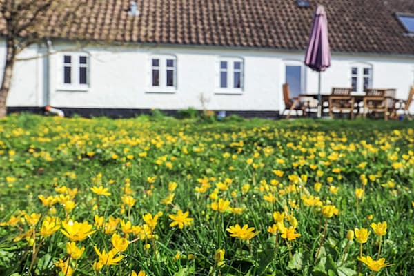 Foto van Rustiek huisje met open haard - Vakantiehuis in Aabybro - View
