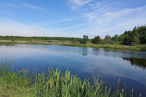 Foto van 7 persoons vakantie huis in Løgstør-By Traum - Vakantiehuis in Løgstør - WaterView