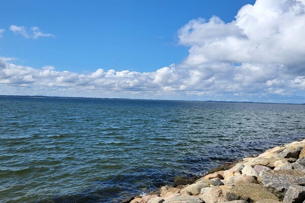 Foto van 7 persoons vakantie huis in Løgstør-By Traum - Vakantiehuis in Løgstør - WaterView