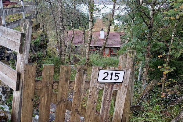 Foto van 7 persoons vakantie huis in Skjold-By Traum - Vakantiehuis in Skjold - Outdoor