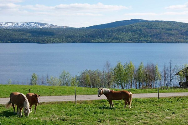 Foto van 6 persoons vakantie huis in Nordli-By Traum - Vakantiehuis in Nordli - WaterView