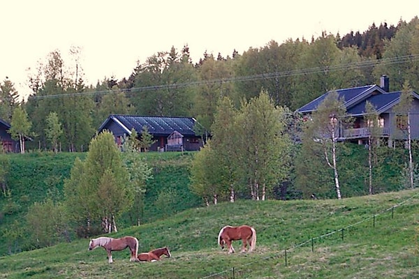 Foto van 6 persoons vakantie huis in Nordli-By Traum - Vakantiehuis in Nordli - Untagged