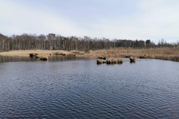Foto van 6 persoons vakantie huis in Stubbekøbing-By Traum - WaterView