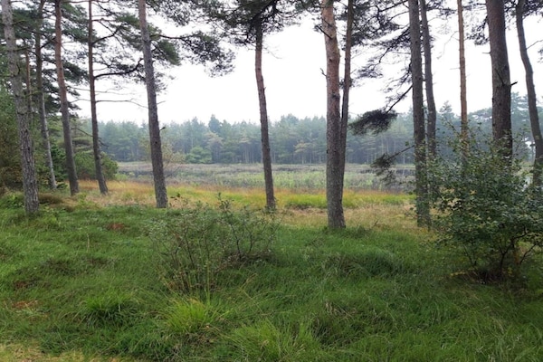 Foto van 6 persoons vakantie huis in Rømø-By Traum - Vakantiehuis in Rømø - Untagged