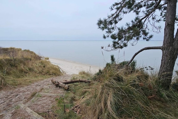 Foto van 6 persoons vakantie huis in Rømø-By Traum - Vakantiehuis in Rømø - Untagged