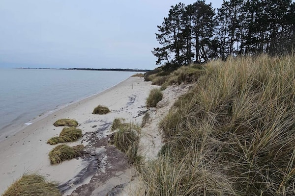 Foto van 6 persoons vakantie huis in Rømø-By Traum - Vakantiehuis in Rømø - Untagged