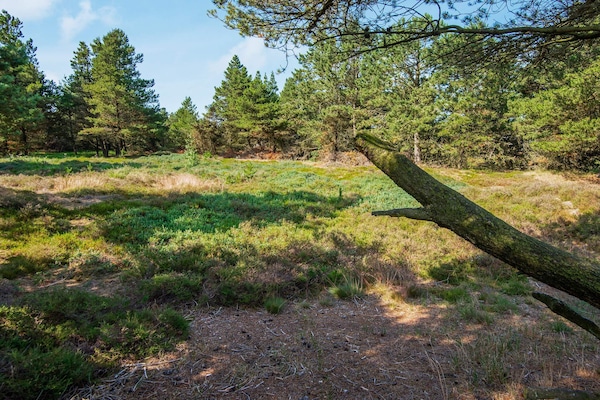 Foto van 6 persoons vakantie huis in Rømø-By Traum - Vakantiehuis in Rømø - View