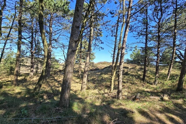 Foto van 6 persoons vakantie huis in Rømø-By Traum - Vakantiehuis in Rømø - Untagged