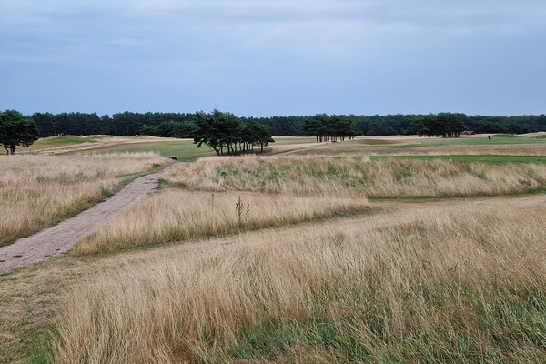 Foto van 6 persoons vakantie huis in DEGEBERGA-By Traum - Vakantiehuis in DEGEBERGA - Untagged