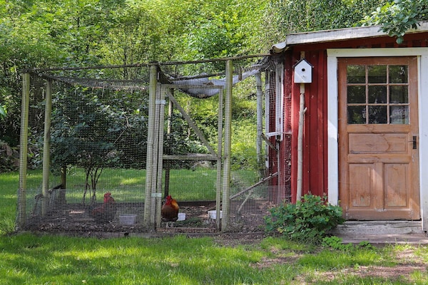 Foto van 6 persoons vakantie huis in ÖRKELJUNGA - Vakantiehuis in ÖRKELJUNGA - Outdoor