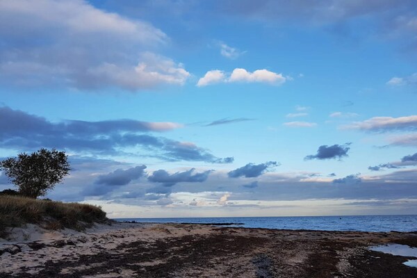 Foto van 6 persoons vakantie huis in Væggerløse-By Traum - Vakantiehuis in Væggerløse - WaterView