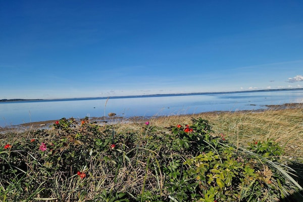Foto van 6 persoons vakantie huis in Højslev-By Traum - Vakantiehuis in Højslev - WaterView