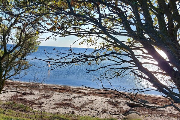 Foto van Zeeparadijs met open terras - Vakantiehuis in Bjert - WaterView